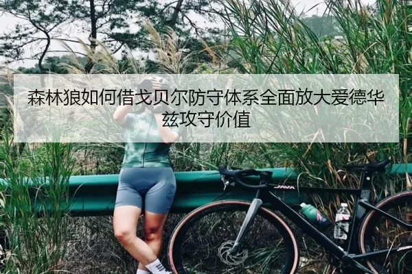 森林狼如何借戈贝尔防守体系全面放大爱德华兹攻守价值